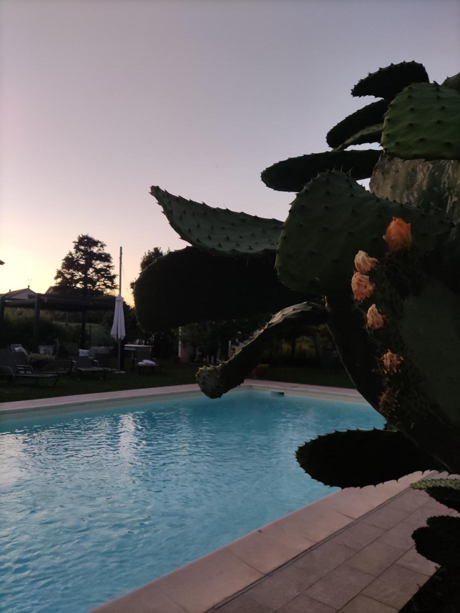 Appartamenti Ca'Melia Sarzana Buitenkant foto